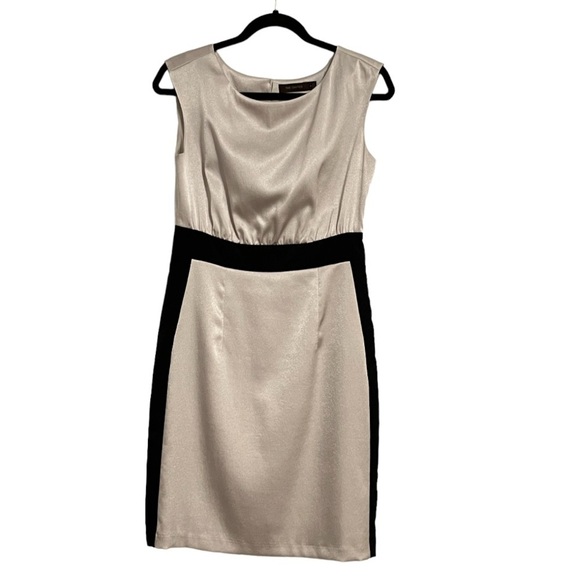 The Limited Dresses & Skirts - The Limited silver and black sheath dress ✨